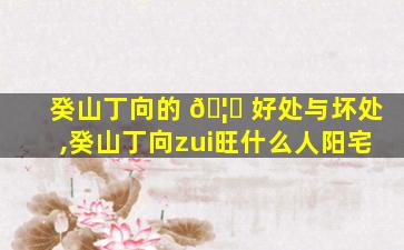 癸山丁向的 🦆 好处与坏处,癸山丁向zui
旺什么人阳宅